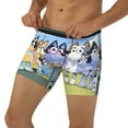 thumbnail image 3 of Lsque Bluey Pattern Men's Performance Stretch Underwear, Athletic Long Leg Briefs，Moisture-Wicking-Small, 3 of 6