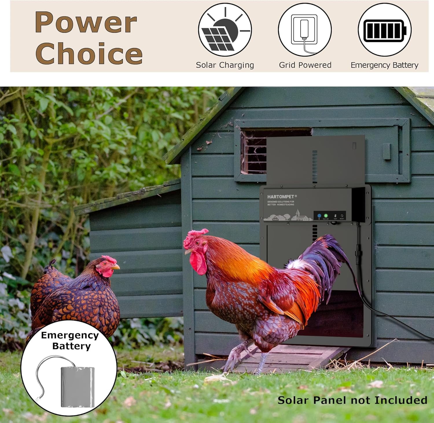 HARTOMPET Automatic Chicken Coop Door – Aluminum Weatherproof Door with Anti-Pinch Sensor, App Control, Plug & Play Installation