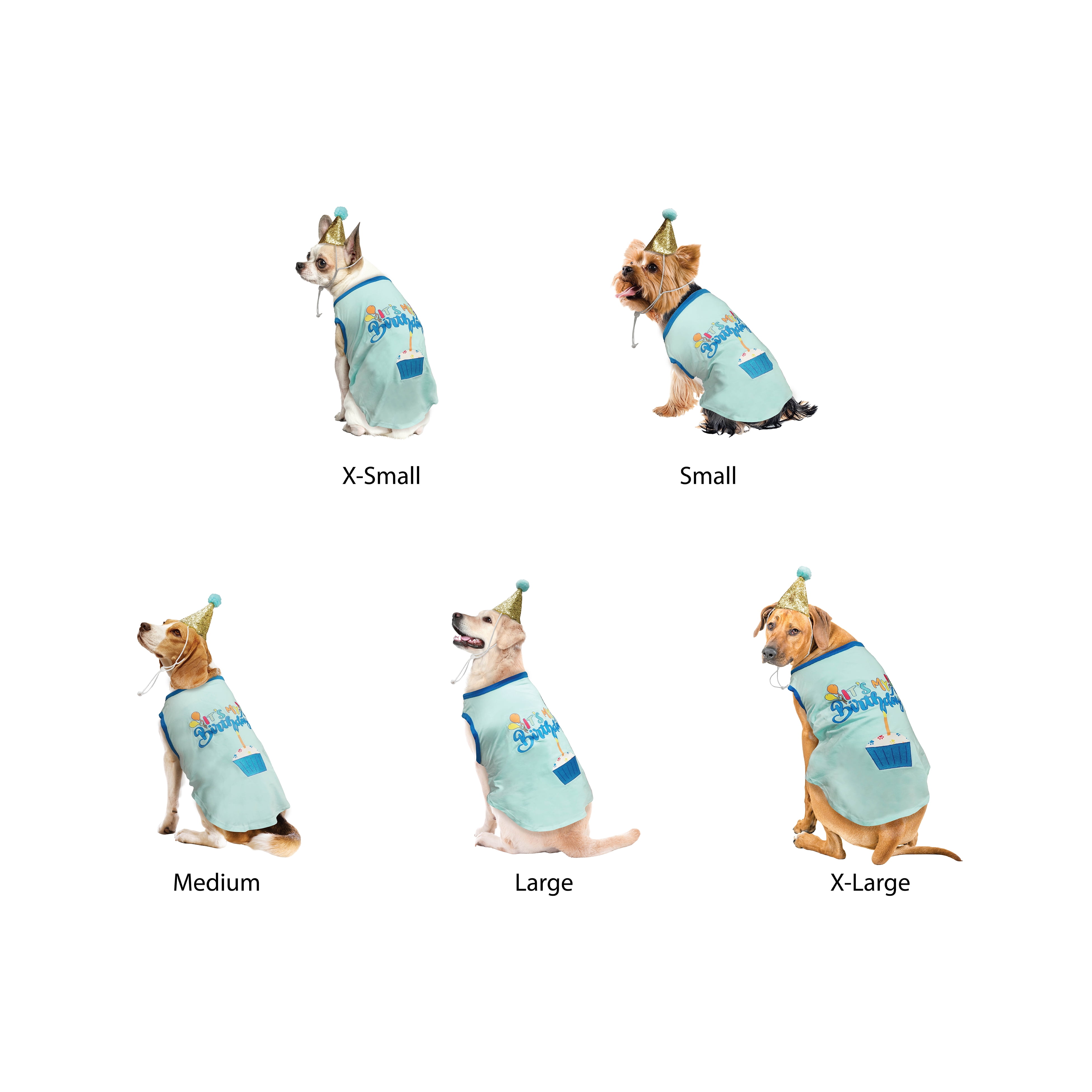 Best Furry Friends Birthday Party Set for Dogs or Cats (set of 4), Blue, X-Small