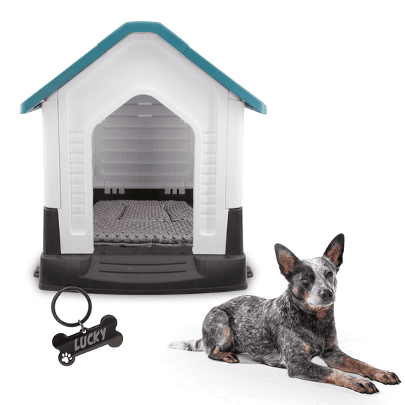 KE WOOW Casa Térmica para Mascotas, Ideal para Viaje, Abatible, Mediana, Incluye Colchón y Placa Personalizada, Color Azul KE WOOW Casa térmica colapsable