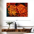 thumbnail image 3 of Elephant Stock Marigold Flowers Wall Art - Horizontal Canvas Wall Art - Living Room Wall Decor - Floral And Botanical Canvas - Orange And Teal Decor - 39" x 26", 3 of 8