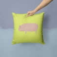 thumbnail image 2 of Carolines Treasures BB7763PW1414 Welsh Pig Green Fabric Decorative Pillow, 14 x 14 in., 2 of 4
