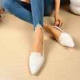 thumbnail image 3 of Classic Pointed Toe Ballet Flats for Women Lightweight Slip On Loafers Comfortable Walking Canvas Dressy Shoes, 3 of 6