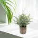 thumbnail image 4 of 2 piezas de plantas artificiales en maceta para interior, adorno para boda al aire libre Pequeño Eucalipto+Eucalipto, 4 of 9