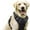 H, variant on Pet Vest PawSafety No Pull Harness for Dogs and Cats Durable and Comfortable with Features for Indoor and Outdoor Use