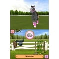 thumbnail image 4 of Petz Pony Beauty Pagent (Nintendo DS), 4 of 7