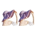 thumbnail image 2 of Maytalsory 1/2/3/5 Stylish Women Sun Hat With Bowknot Effective Sun Protection And Easy To light purple 2PCS, 2 of 6