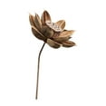thumbnail image 4 of Flores secas para jarrón, arreglo floral, accesorio de fotografía rústico DIY para dormitorio Estilo C, 4 of 9