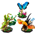thumbnail image 2 of LEGO Idea Insect Collection 21342 Toy Block Present Interior Model Boy Girl Adult, 2 of 2