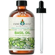 EVOKE OCCU Basil Essential Oil for Skin Massage Diffuser Scented Candle Soap Making- 4 fl oz
