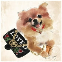 Empire Art Direct  Pomeranian Unrameled Free Floating Tempered Glass Panel Graphic Dog Wall Art Print - 20 x 20 in.