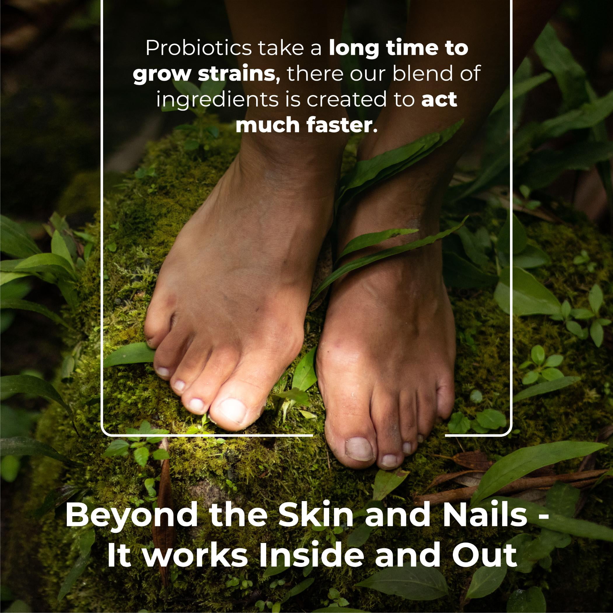 Fungus Eliminator, Toe Nail Fungus Supplement with Wormwood & Caprylic Acid by PureHealth Research