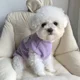 thumbnail image 2 of Chaleco de verano fino y transpirable para mascotas, para perros, gatos, osito de peluche, bichón, pomerania, muñeca de tela, abrigo para perro, 2 of 5