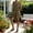 Army Green, variant on Women's Short Overalls Romper Casual Summer Bib Shortalls with Pockets