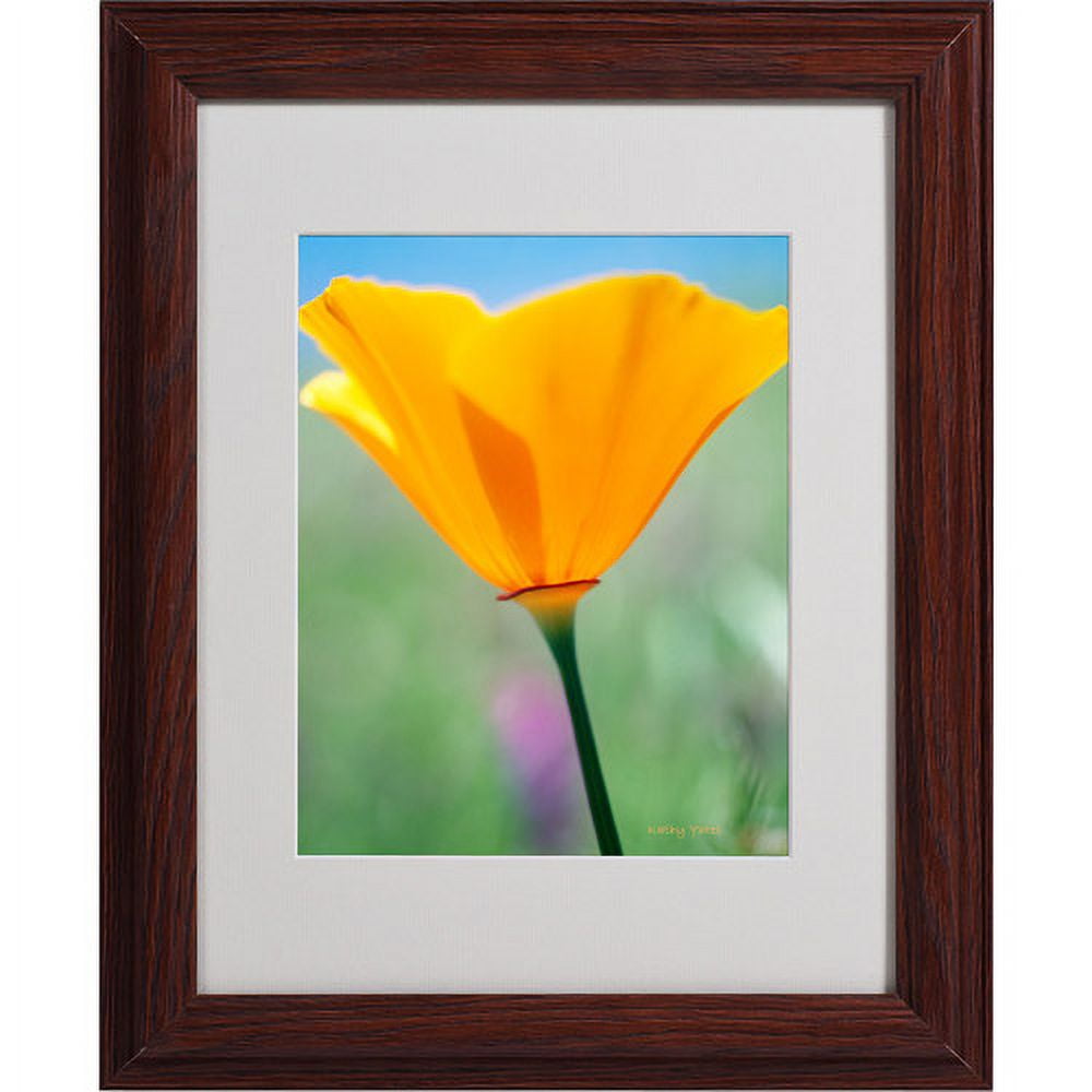Trademark Fine Art "California Poppy Closeup" Matted Framed Canvas Art by Kathy Yates