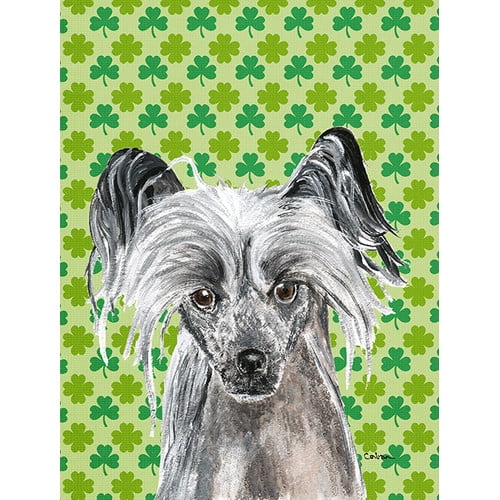 Chinese Crested St Patrick