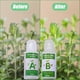 thumbnail image 3 of 1-3 juegos de nutrientes generales A y B para plantas, flores, verduras, frutas, cultivo hidropónico sin suelo, solución alimenticia para plantas, 3 juegos, 3 of 5
