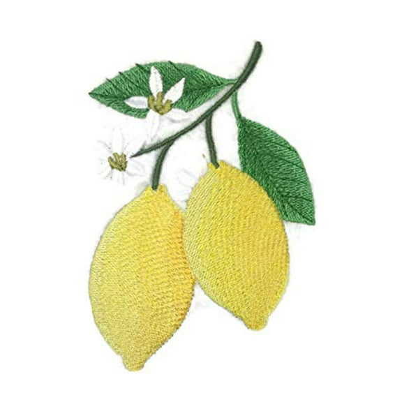 Nature Weaved in Threads, Fruits[Lemons] [] Embroidered Iron on/Sew Patch [4.8"x"3.2"] …