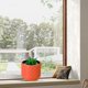 thumbnail image 4 of Plastic Imitation Glazed Vase Living Room Flower Arrangement Cabinet Decoration Dried Flower Decoration Flower Pot Flower Utensil, 4 of 6