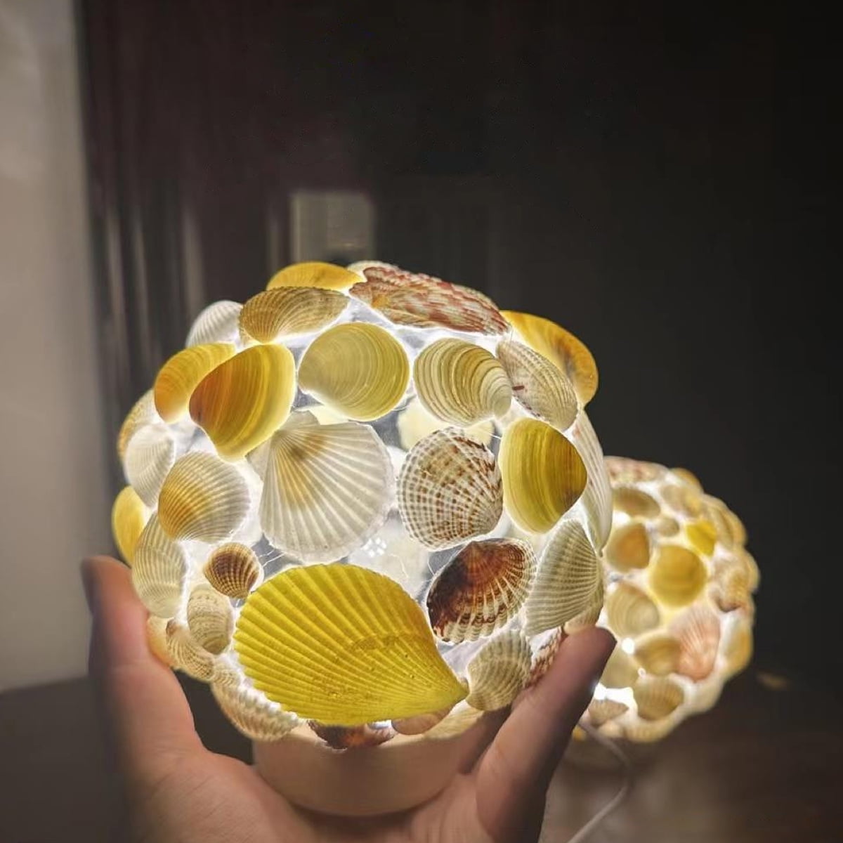Handmade Sea Shell Night Light in Glass Dome with LED for Bedroom