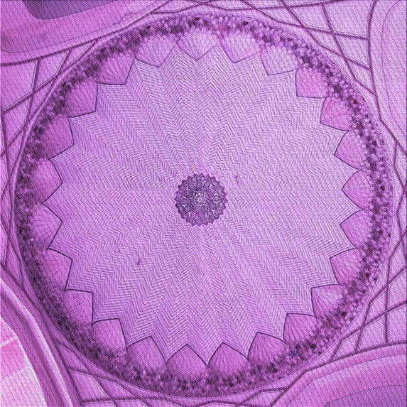 Ahgly Company Machine Washable Indoor Square Transitional Violet Purple Area Rugs, 7' Square