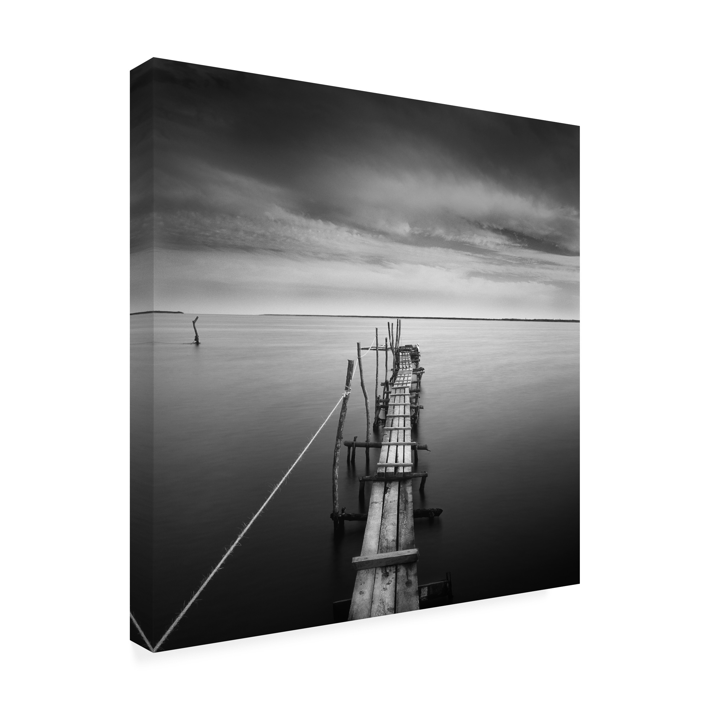 Trademark Fine Art "Direction" Canvas Art by Moises Levy