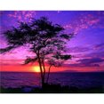 thumbnail image 1 of Wdftyju Diamante cuadrado serie paisaje resina diamante (ZQF2402) Wdftyju 5tu6hn1jz3mb7ek4D01, 1 of 9