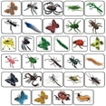 thumbnail image 3 of Toy Bug Set Kockuu, 30 unidades, bichos e insectos de plástico para fiestas infantiles, 3 of 9