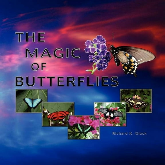 The Magic of Butterflies (Paperback)