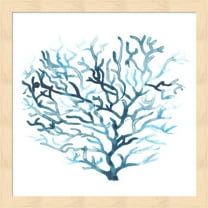 Azure Seafan II by June Erica Vess, Framed Wall Art, 13.25W x 13.25H