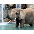 thumbnail image 1 of Wdftyju 5D bricolaje taladro redondo completo diamante pintura elefante dibujo Wdftyju 5nh5wk5bb1pp5mz2D02, 1 of 9