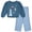 Frozen Snowflake Blue, variant on Disney Minnie Mouse Baby Girls' Fleece Sweatshirt and Pants Set Burgundy