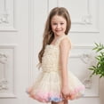 thumbnail image 2 of Girls Skirt Princess Fluffy Soft Tulle Ballet Birthday Party skirt，Ice Cream Colorful Princess Skirt Festival Dress Fluffy skirt, 2 of 6