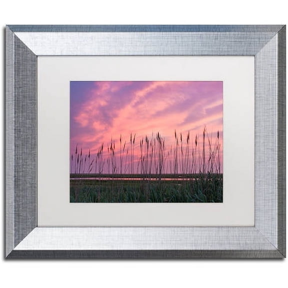 Trademark Fine Art "Marsh Reeds" Canvas Art by Michael Blanchette Photography White Matte, Silver Frame