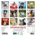 thumbnail image 2 of Willow Creek Press, Chihuahua Rules 2025 Mini Wall Calendar, 2 of 4