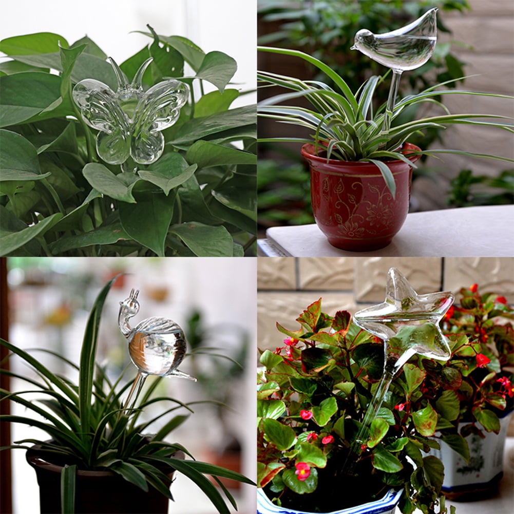 House Plants Flowers Automatic Self Watering Devices Clear Glass Water Feeder Snail Shape Garden Irrigation Tool 