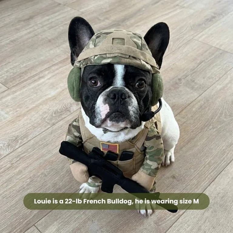 Dront Facing Pet Costume Front-Facing Military Uniform for Dogs & Cats, Pet Cosplay ...