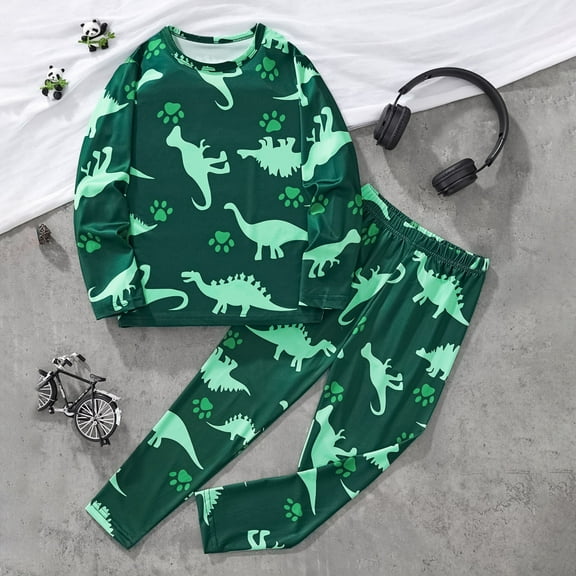 GBSYEWXS Toddler Teen boys Outfits Sets Outdoor Dinosaur Print Sweatshirt Pant Casual Long Sleeve Green Outfit Set Size 3-4 Years