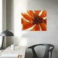 thumbnail image 4 of Nawypu Abstract Floral Burnt Orange Wall Art for Living Room, Canvas Framed Wall Art Printed Modern Wall Painting for Bedroom Kitchen Office Holiday Decor Ready to Hang Watercolor Petal Print, 4 of 5