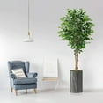 thumbnail image 2 of Artificial Tree in Modern Granite Effect Planter, Fake Ficus Silk Tree for Indoor and Outdoor Home Decoration - 66" Overall Tall (Plant Pot Plus Tree), 2 of 5