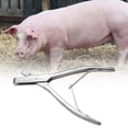 thumbnail image 3 of Alicates Para Etiquetas De Orejas De Cerdo, Suministros Para Animales Familiares Alicates Para Etiquetas De Orejas De Cerdo Suministros Para Animales De Granja Alicates Para Orejas EOTVIA No, 3 of 6