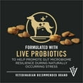 thumbnail image 3 of Purina Pro Plan Complete Essentials Shredded Blend Turkey and Rice Dry Dog Food Formula with Probiotics for Dogs, 3 of 12