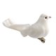 thumbnail image 3 of Aves De Simulación Pájaro de espuma de pluma blanca de 12 Uds. Con Clips para manualidades, pájaro de simulación, decoración del hogar Wdftyju Libre de BPA, 3 of 5