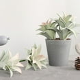 thumbnail image 2 of Mini Artificial Succulent Plant Bonsai Fake Pineapple Leaf Balcony Desktop Decor, 2 of 8