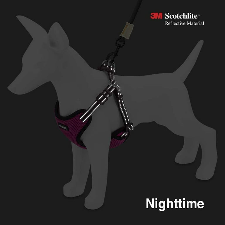 Voyager Fully Adjustable Step in Mesh Dog Harness with