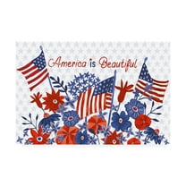 Trademark Fine Art 'America the Beautiful I Flag' Canvas Art by Farida Zaman