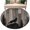 Brown, variant on Wild Wolf Kitchen Runner Rug 2x6 Washable Runners for Hallway Non Slip Farmhouse Forest Trees Wood Grain Brown Large Area Rug Indoor Floor Carpet for Bathroom Laundry Entryway Bedroom Living Room