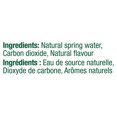 thumbnail image 5 of Perrier Lemon Sparkling Carbonated Water – 1L Plastic Bottle, 5 of 5