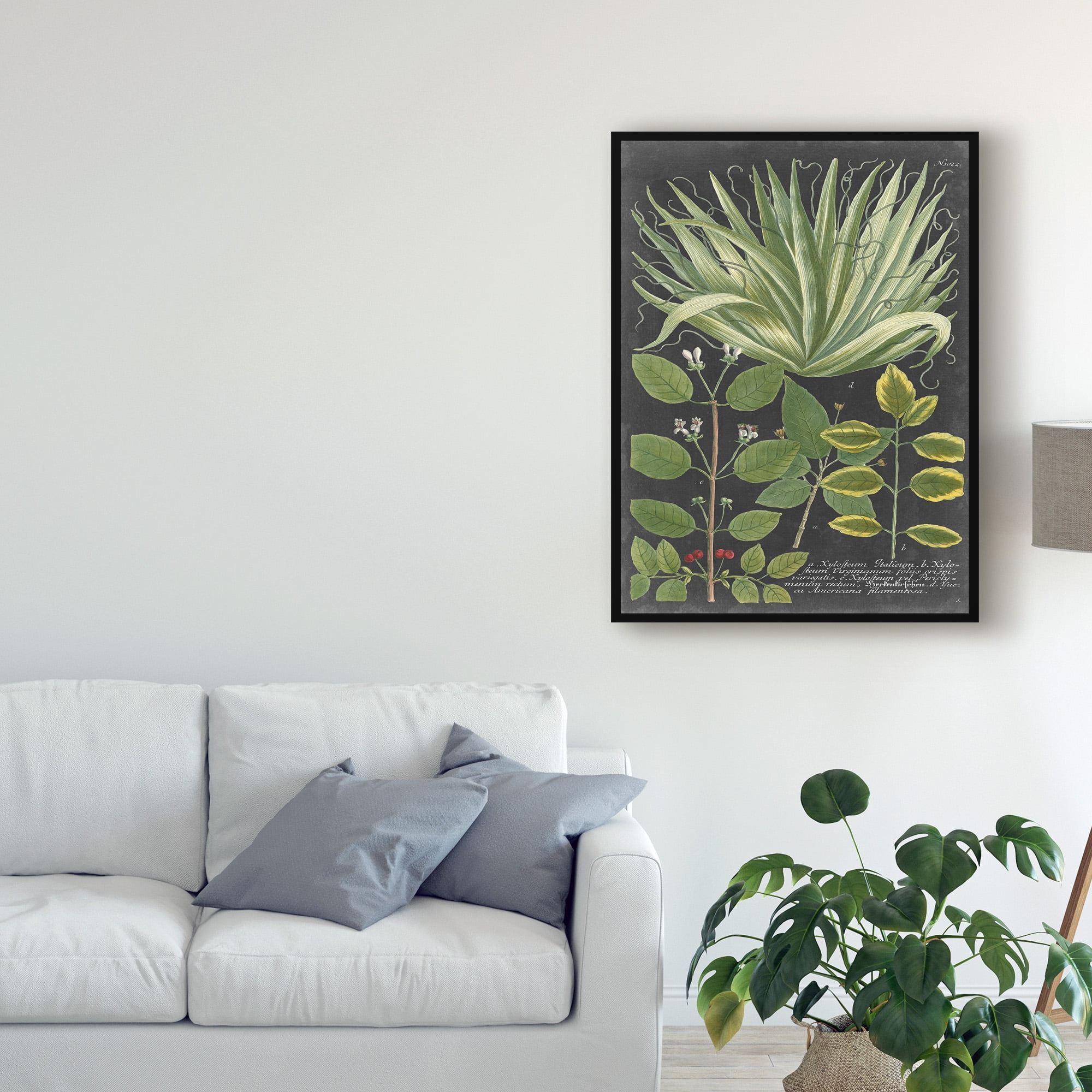 Trademark Fine Art 'Dramatic Weinmann Greenery IV' Canvas Art by Vision Studio
