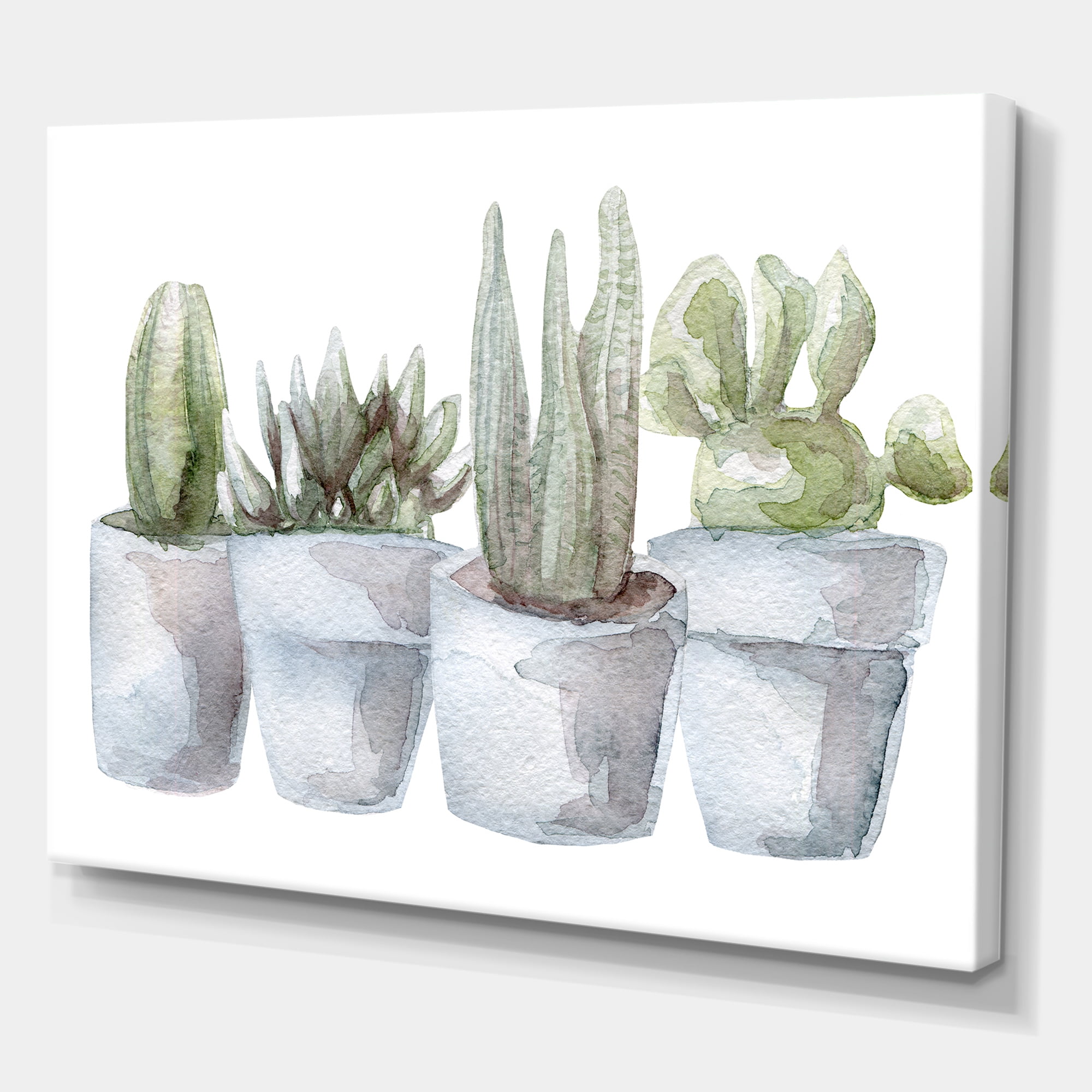 Succulent and Cactus House Plants V 8 in x 12 in Painting Canvas Art Print, by Designart